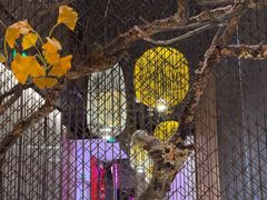 -京华烟云·北京烤鸭(领展购物广场·中关村店)