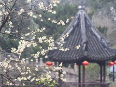 -上海醉白池公园