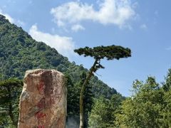 -姑婆山旅游区