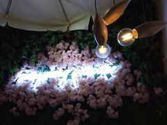 -香香春饼·非遗技艺(万达店)