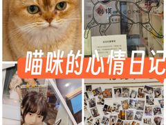-楼上猫咖(罗湖店)