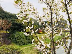 -龙寺生态园