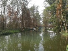 -桤木河湿地公园