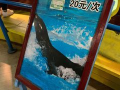 -太平洋海底世界