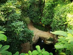 -南山植物园