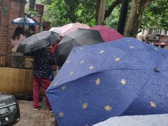 -璐坊粽王(复兴中路店)