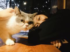 -more than meow吴止猫主题餐厅(承德 中船汇店)