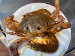 -蜀都冒菜·酱蟹生腌