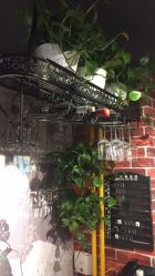 点击看大图 -和木形象