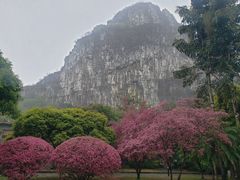 -南溪山景区