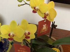 -Native Flower 莱提花艺(南海新天地广场店)