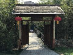 -田园东方蜜桃村的田野营地