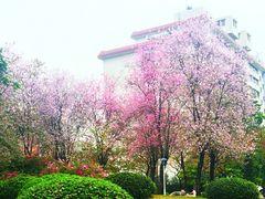iphone_upload_pic-华南师范大学(广州大学城校区)