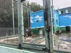 -保定市动物园