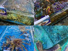 -亚龙湾亚泰商业街