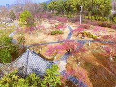 -黄陂区野村谷景区