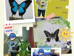 -上海昆虫博物馆