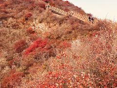 -水峪民俗村
