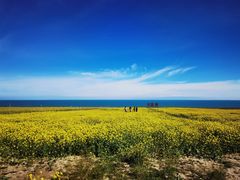 -青海湖国家重点风景名胜区