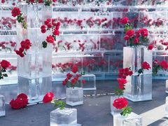 -万达广场(龙湖店)