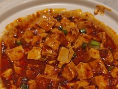 -峨嵋小镇·川菜(正定朗华店)