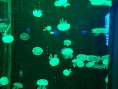 -多彩贵州城极地海洋世界