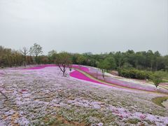 -杏花村文化旅游区