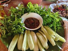 刺五加-傣家苑傣味餐厅