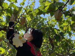 -大连北马山庄