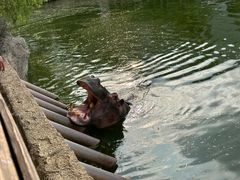 -杭州野生动物世界