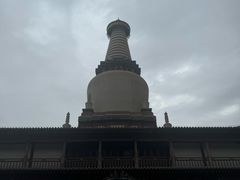 -张掖大佛寺景区