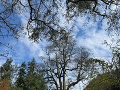 -西岭雪山大飞水景区