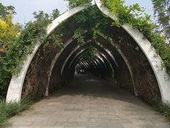 -天津东丽湖风景区