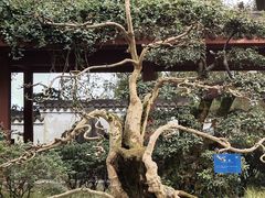 -南山植物园