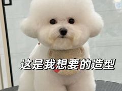 -瑞派康怡24h宠物医院·犬猫医疗中心·微创绝育(瑞景分院)