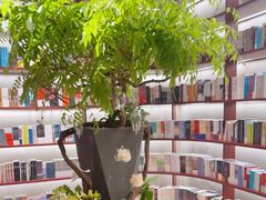 -二酉书店TOYOU BOOKS