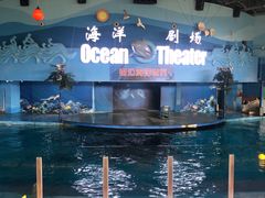 -苏州海洋馆