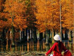 -白鹭湾湿地公园