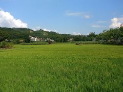 -红山村