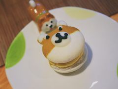 -柴务处·柴犬主题狗咖