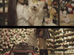 -百好乐宠物友好餐厅(朝外大街店)