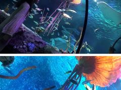 -沈阳海洋探索中心