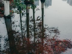 -重庆彩云湖湿地公园