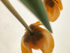 -长春公园(普阳街道)