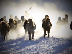 -塞罕坝国家级自然保护区