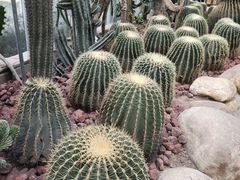 -郑州植物园