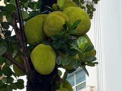 -姐告口岸