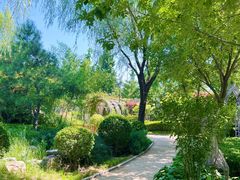 -南宫五洲植物乐园