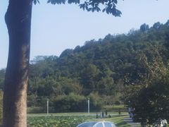 -南北湖风景区