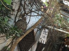 -飘香酒馆·私房菜